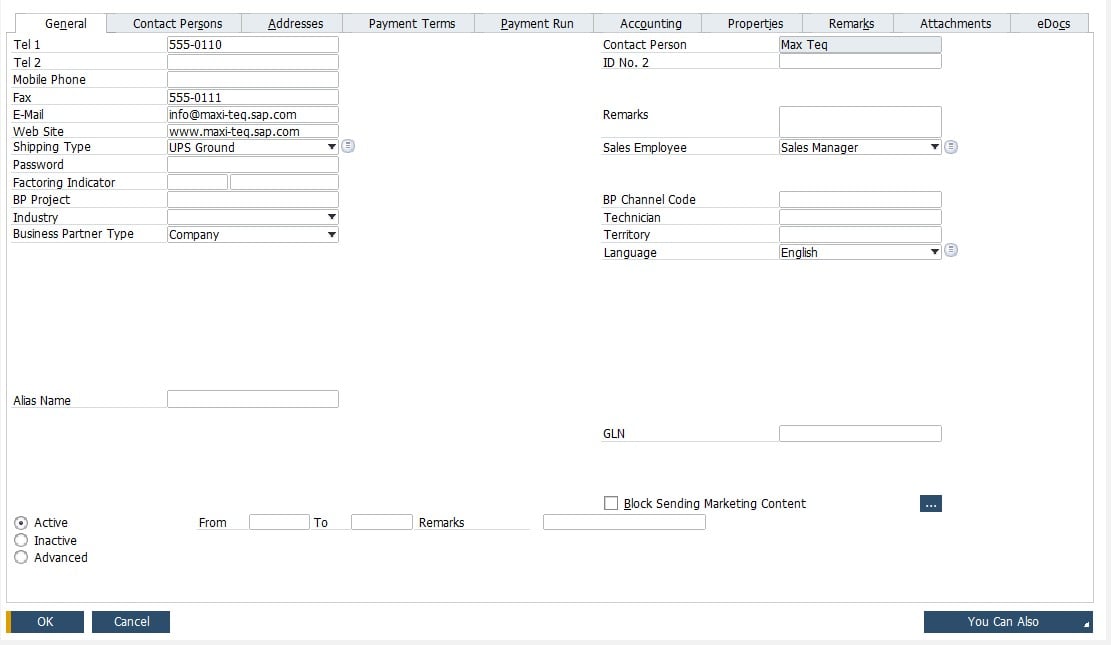 SAP B1 Business Partner Master Data