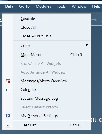 sap business one interface, navigation, customization