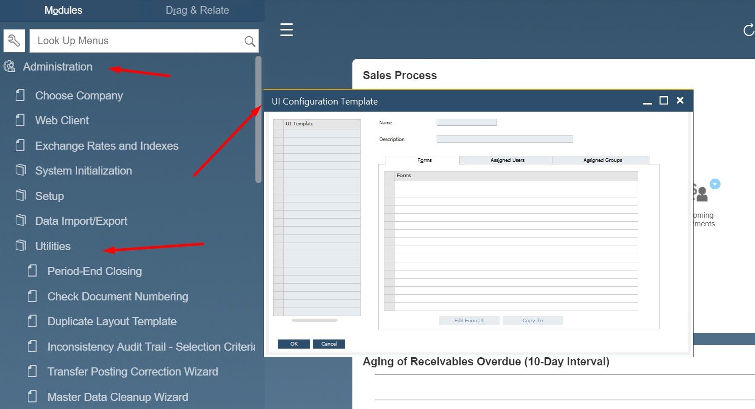 sap business one interface, navigation, customization
