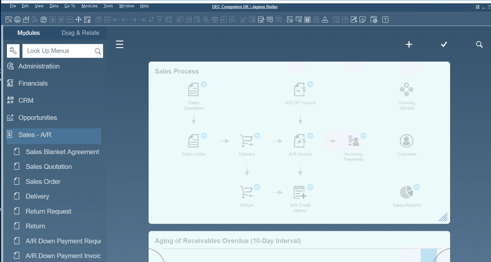 sap business one interface, navigation, customization