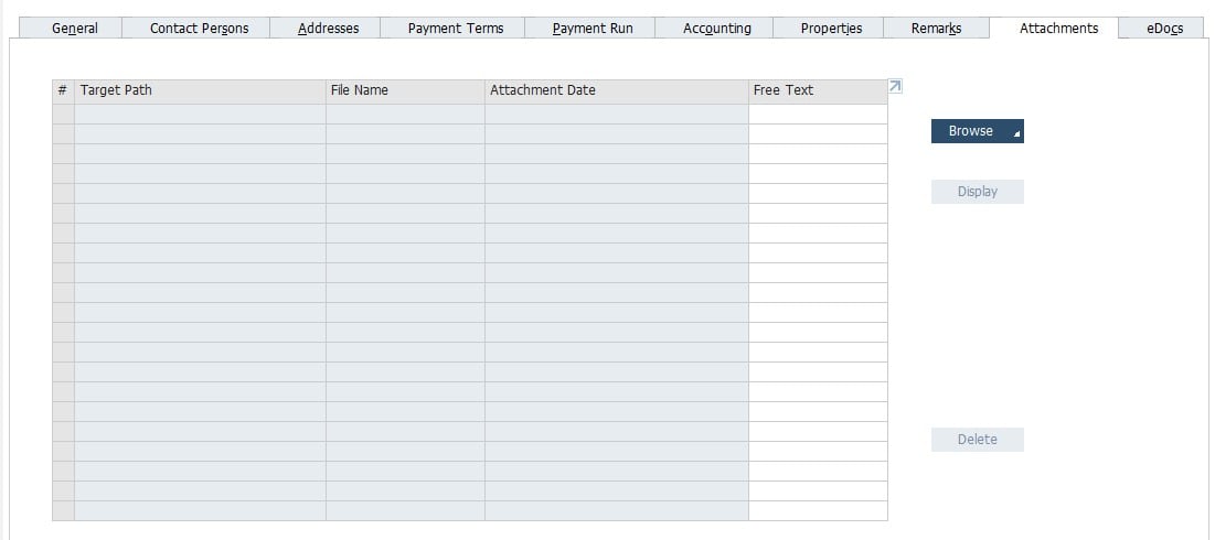 SAP B1 Business Partner Master Data