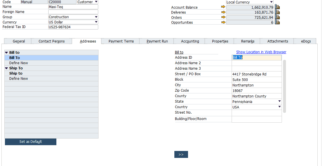 SAP B1 Business Partner Master Data