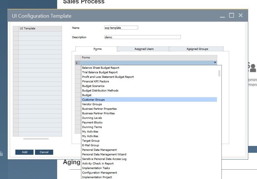 sap business one interface, navigation, customization