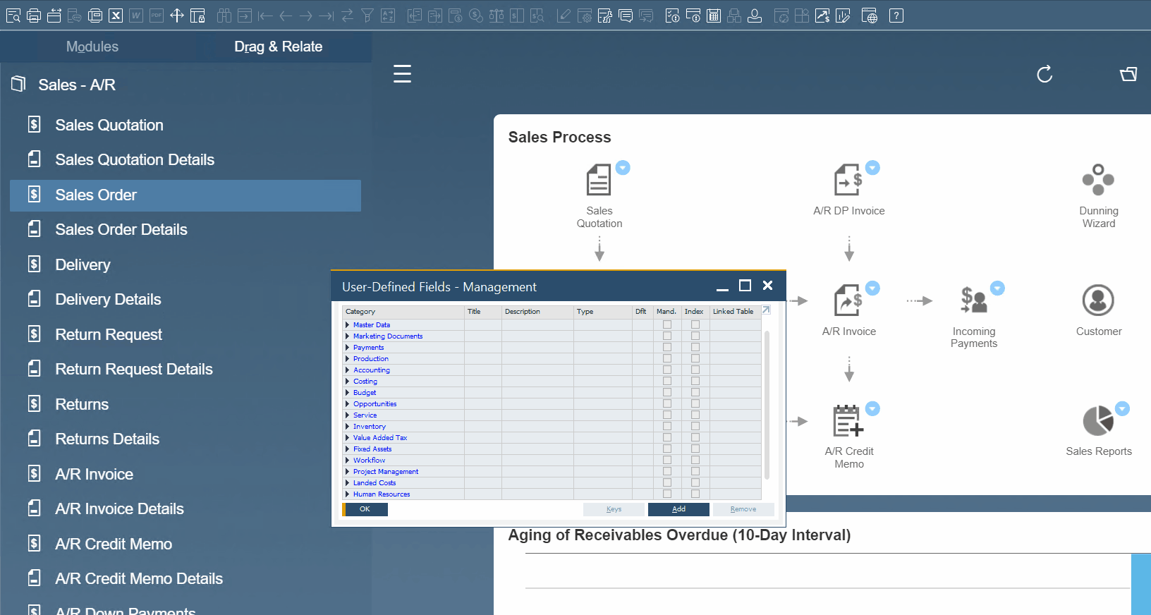 sap business one interface, navigation, customization