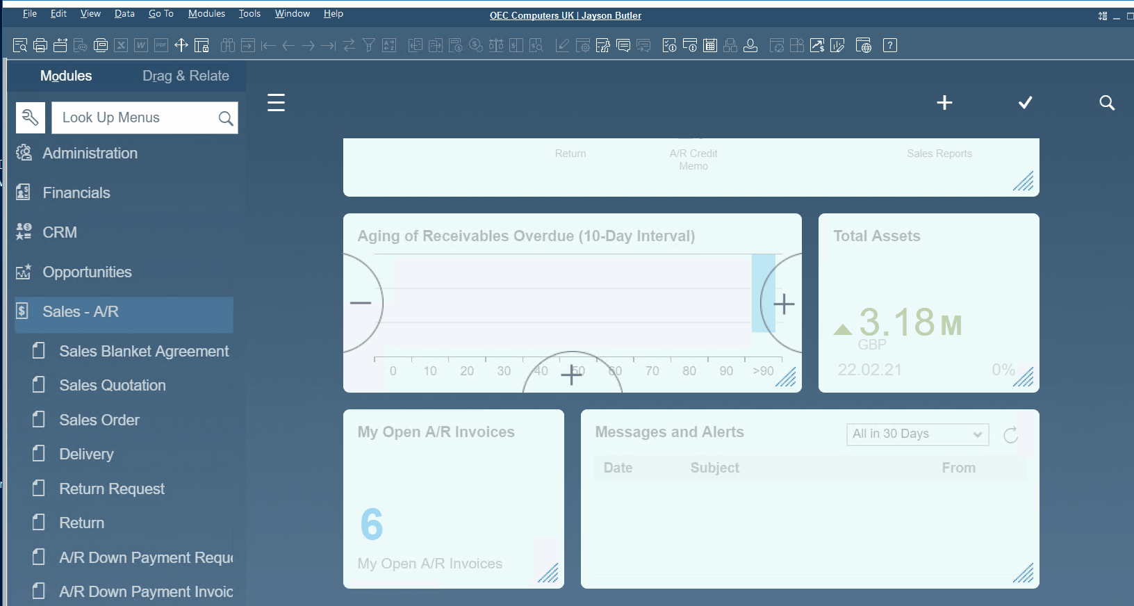 sap business one interface, navigation, customization