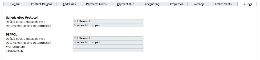 SAP B1 Business Partner Master Data