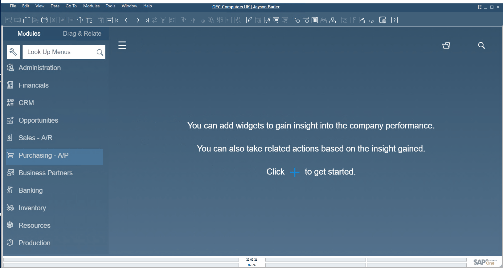 sap business one interface, navigation, customization