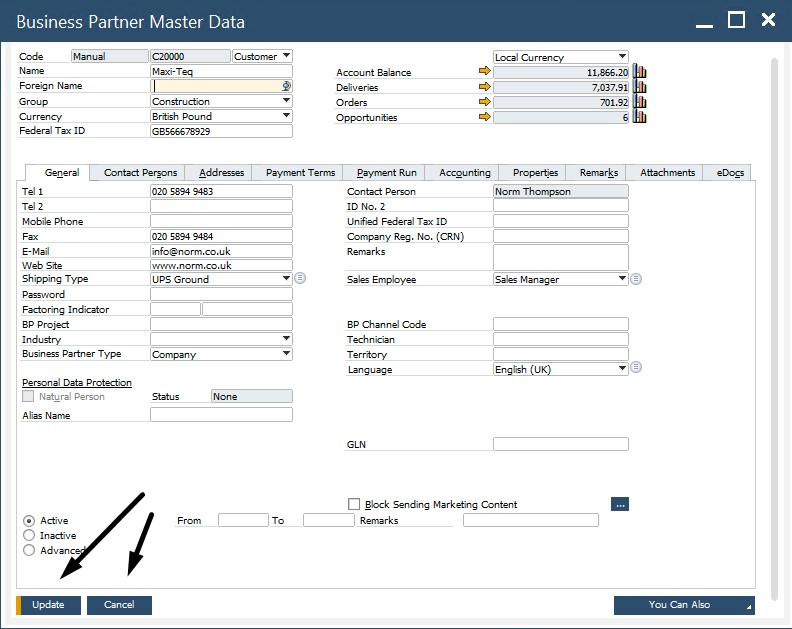 sap business one interface, navigation, customization