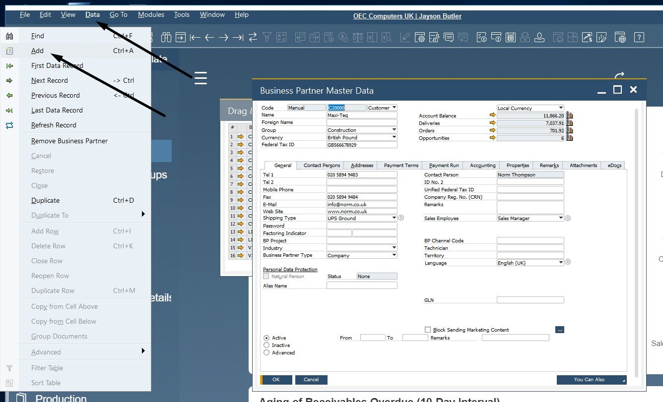 sap business one interface, navigation, customization