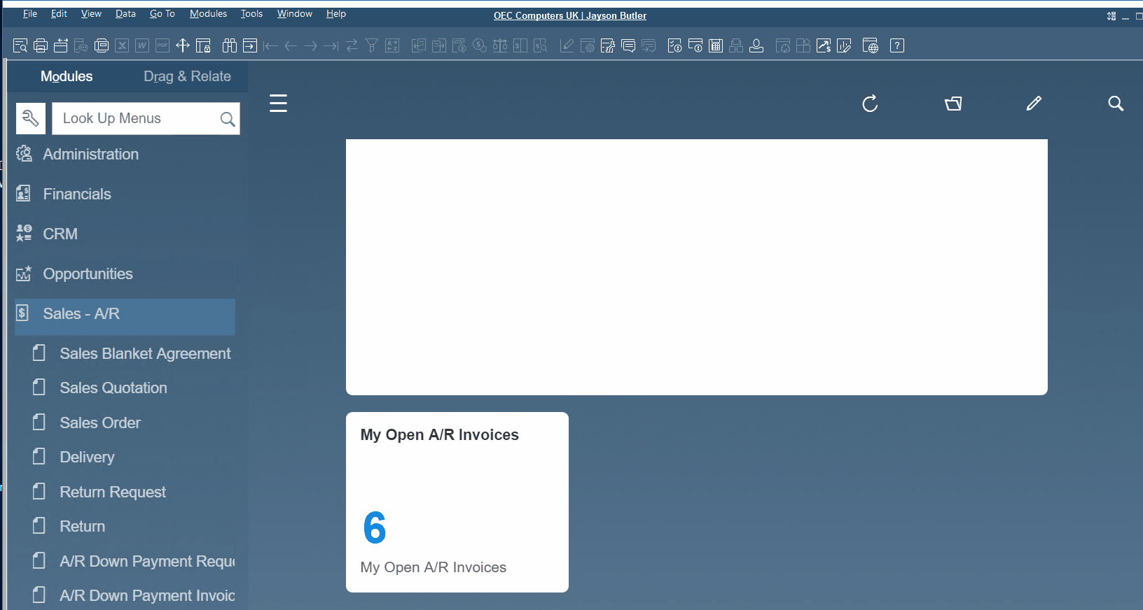 sap business one interface, navigation, customization
