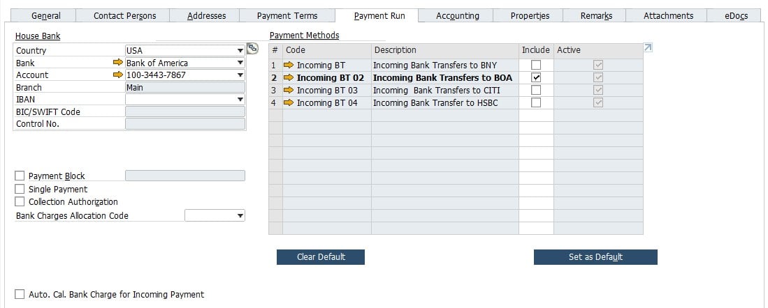 SAP B1 Business Partner Master Data