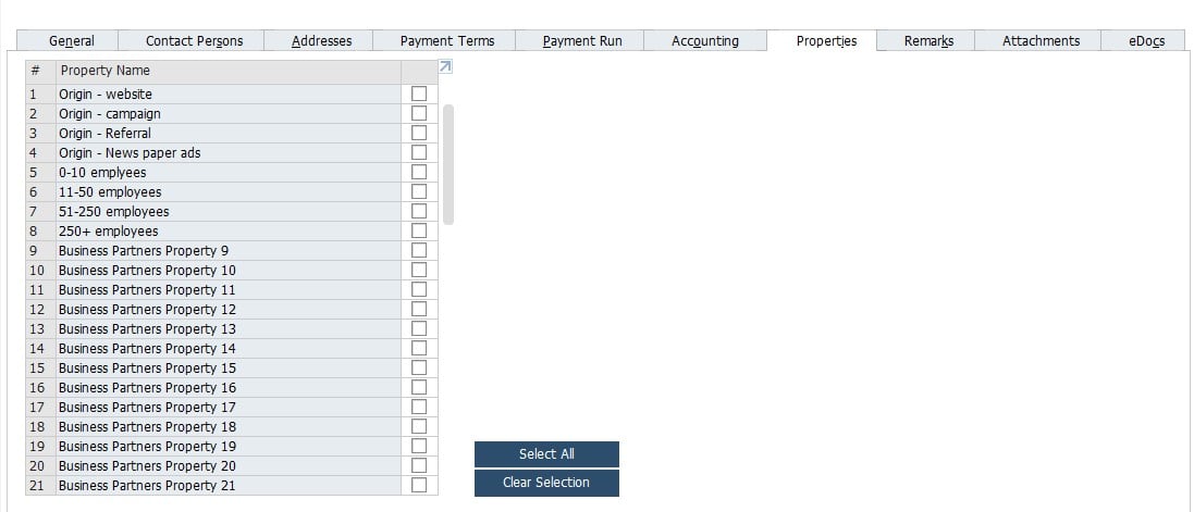 SAP B1 Business Partner Master Data
