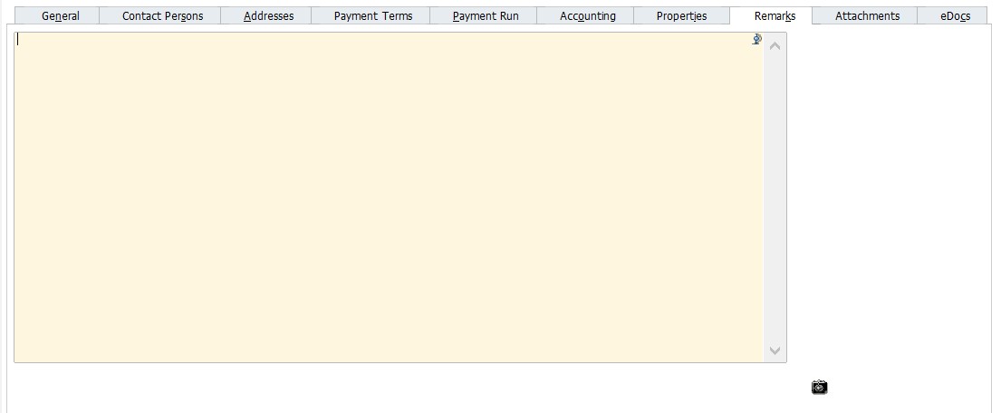 SAP B1 Business Partner Master Data