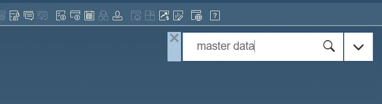 sap business one interface, navigation, customization